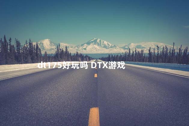 dt175好玩吗 DTX游戏